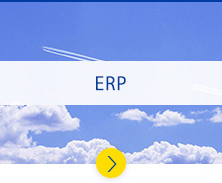 ERP