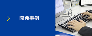 開発事例